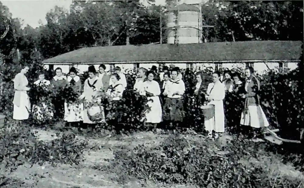 Bean Club 1919