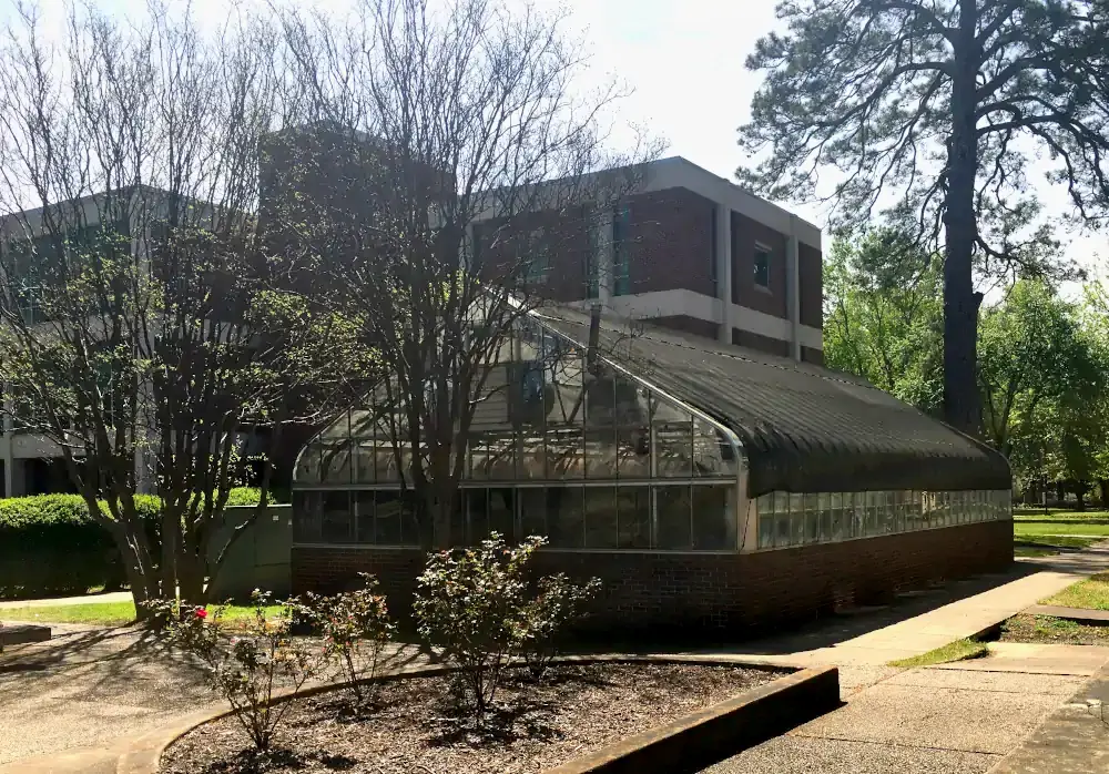 Greenhouse