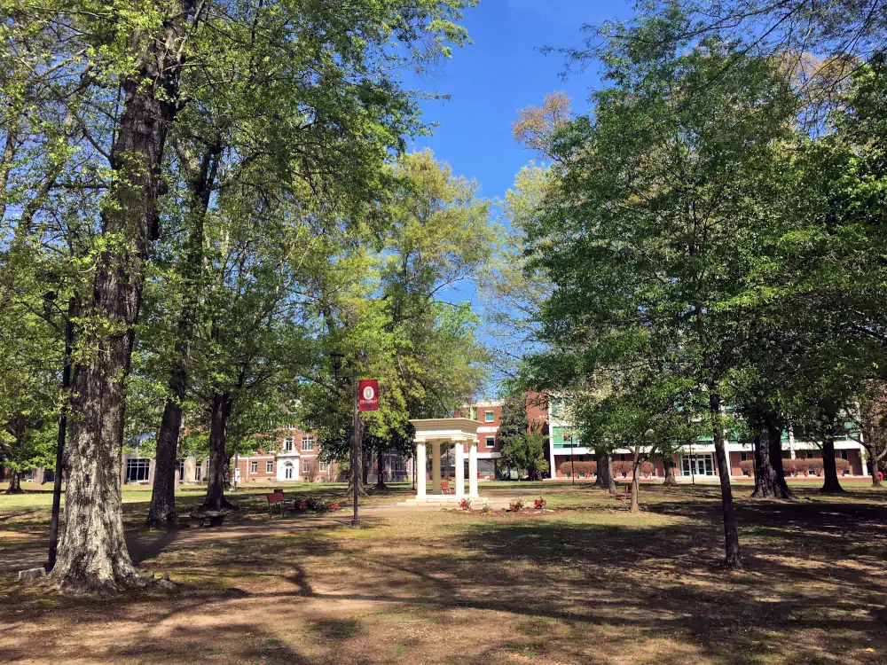 South Lawn Trees